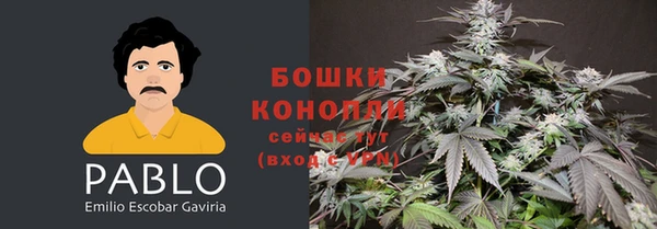 шишки Пестово