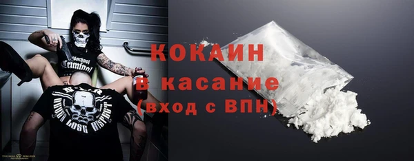 шишки Пестово