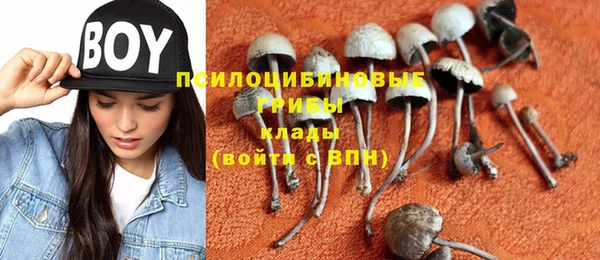 амф Пересвет