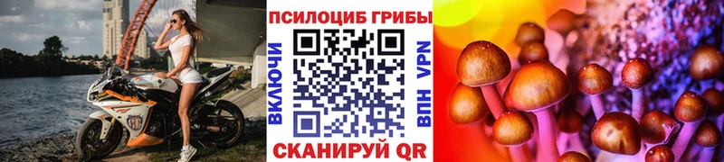 Псилоцибиновые грибы MAGIC MUSHROOMS  kraken онион  Отрадный  даркнет официальный сайт  где продают  